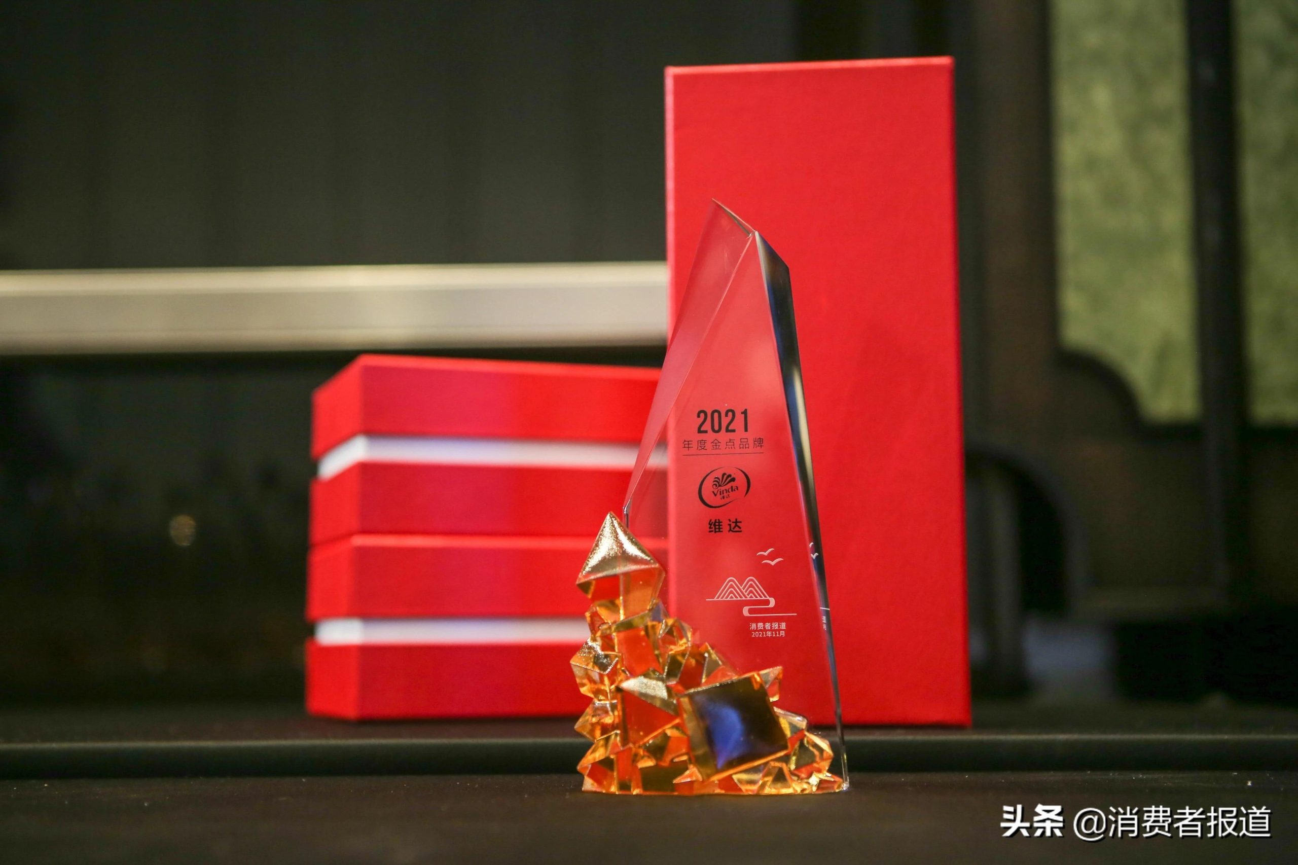 致敬航天精神赋能品牌升级，维达荣获“年度金点品牌奖”
